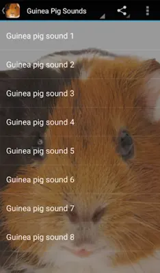 Guinea Pig Sounds android App screenshot 0